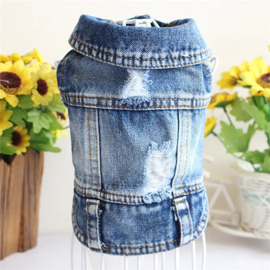 Summer Jeans Series Dog Shirt – Denim Cowboy Jacket for Small Dogs