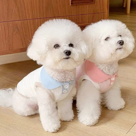 Summer Pet Polo Shirt – Breathable & Fashionable Vest for Dogs and Cats