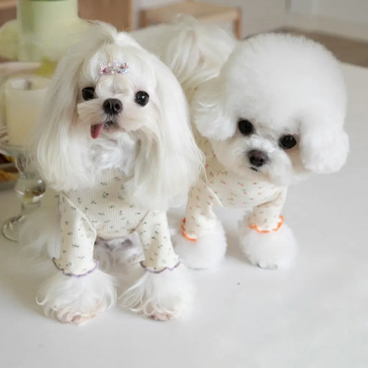 Floral Lace Dog Undershirt – Cute Autumn/Winter T-Shirt for Small Dogs