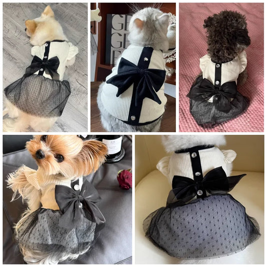 Luxury Summer Dog Dress – Bow Lace Skirt & T-Shirt for Small Dogs