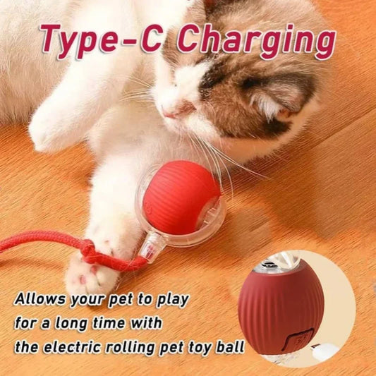 2025 Electric Rolling Dog Ball – Smart Rechargeable Plush Toy for Dogs & Cats